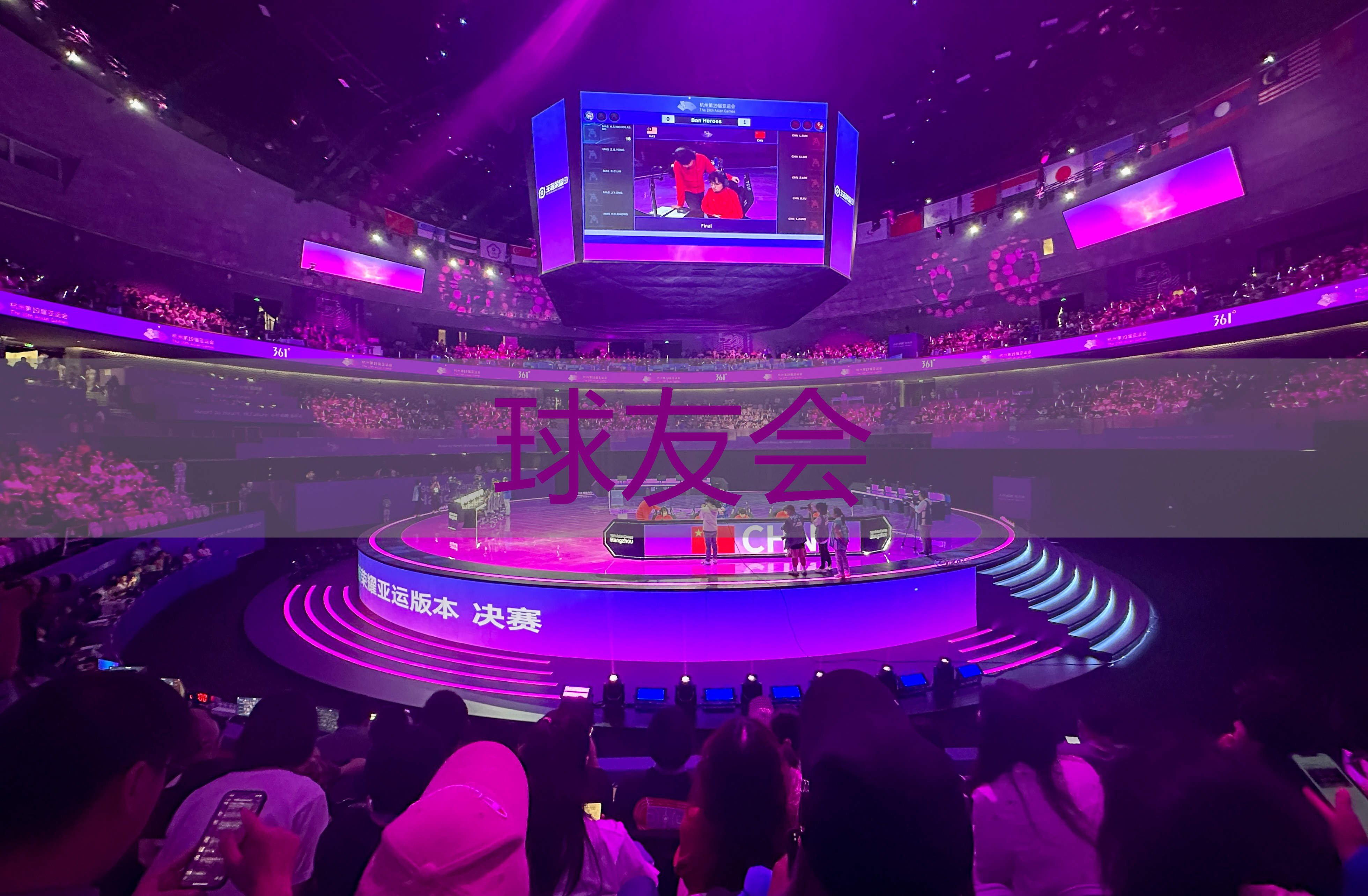 青岛足球场草坪绿化工程