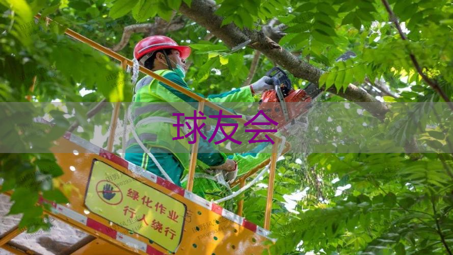 温州智能化绿化工程报价 温州智能化绿化工程报价