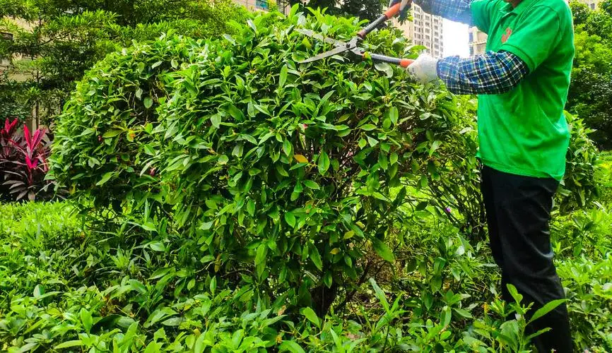 办公室屋顶园林景观设计 办公室屋顶园林景观设计