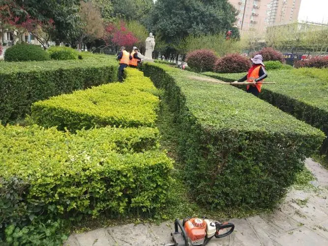 大港做市政绿化要哪些资质呢 大港做市政绿化要哪些资质呢