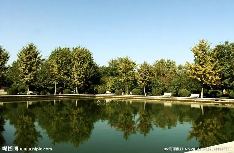 武清要干市政绿化工程需要什么条件 武清要干市政绿化工程需要什么条件
