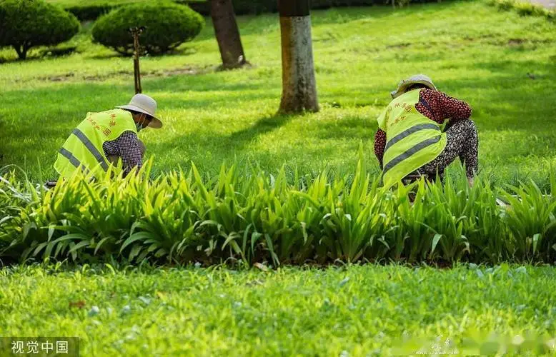 解析园林管理现状:挑战与机遇并存 解析园林管理现状:挑战与机遇并存